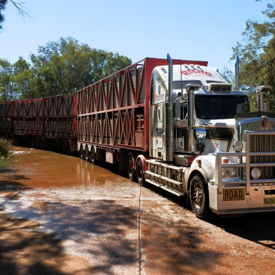 The 'Richo' fleet today includes 15 Kenworths like this one, and two Western Stars