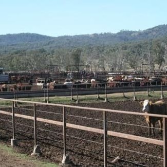 Rodgers Creek is the first feedlot in several years to changed hands, believed to have been purchased for less than $3 million
