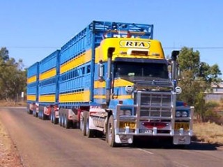 Brooke Hartley of Road Trains Australia in Darwin has had 20 road trains standing still as a result of the ban. 