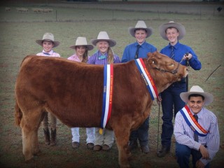 Rusty the steer with agriculture and primary industries students from St John's College, Dubbo. 