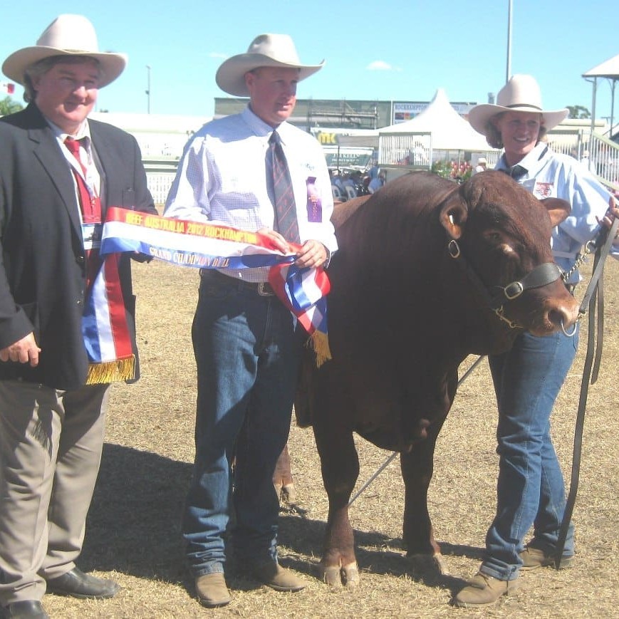 Junior and grand champion Senepol bull, 5 Star Mojo, is pictured with from left, exhibitor Geoff Maynard, 5 Star Senepols, Mt Eugene, Jambin; judge Burnett Fahey, Riverlea, Condamine; and handler Tania Hartwig.