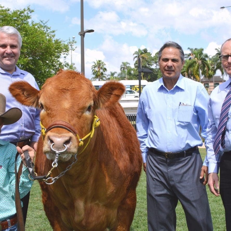 ALH's Bruce mathieson and Sam Gullo with vendor Terry Noln and steer handler Billy Goetch after ALH yesterday paid $21,000 for the steer for charity 