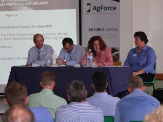 Cattle producer Peter Anderson, AgForce Cattle Director Michael Mactaggart, AgForce BMP project manager Sue Dillon and AgForce Policy Officer Marie Vitelli.