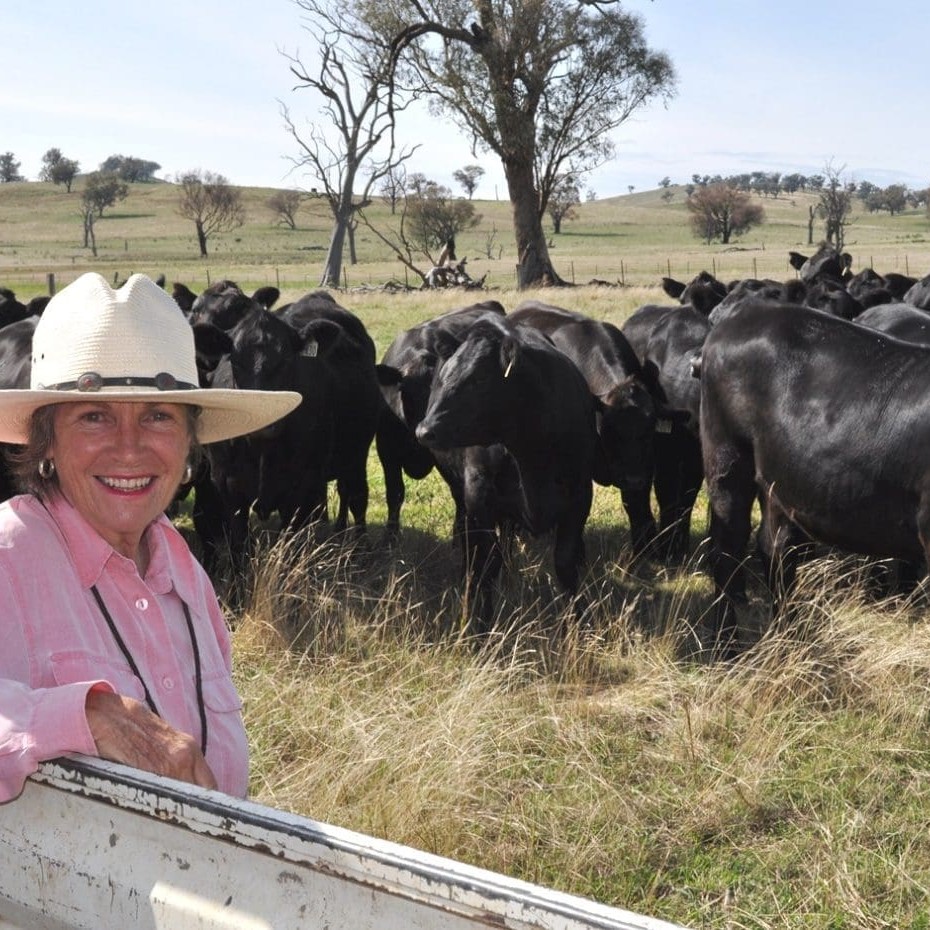 Adalong, NSW Angus breeder Susie Chisholm has had good success with her early FTAI programs 