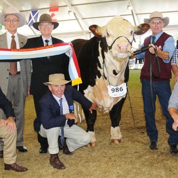 Sydney Royalâ??s supreme champion all breeds exhibit, Tycolah Jovial F77, with judge Anthony Coates, Eidsvold, QLD; RAS of NSW president Glenn Dudley; judges Ted and James Laurie, Gloucester, NSW; and exhibitors Steve, Theresa and Ben Crowley, Barraba, NSW. Click on the image below for a larger view.