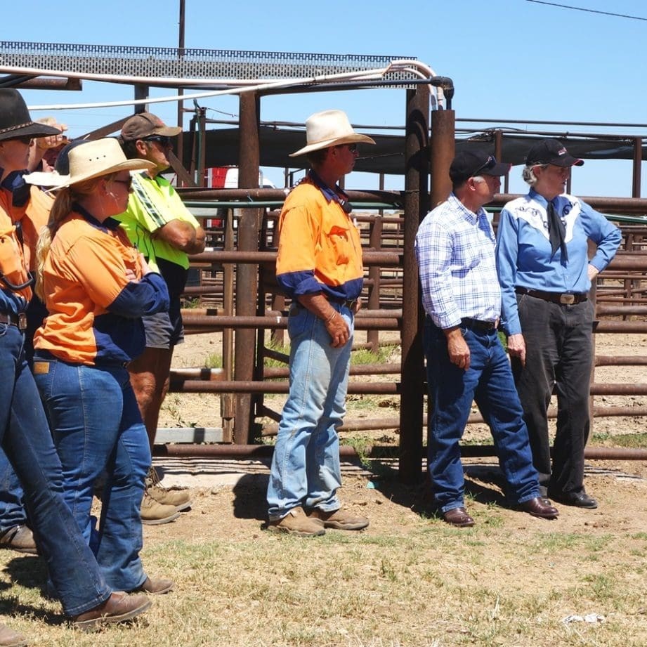 Temple Grandin, right, with Dr Matt George and livestock staff from Teys' Miamba feedlot near Condamine during Temple's visit to four Queensland feedyards last week