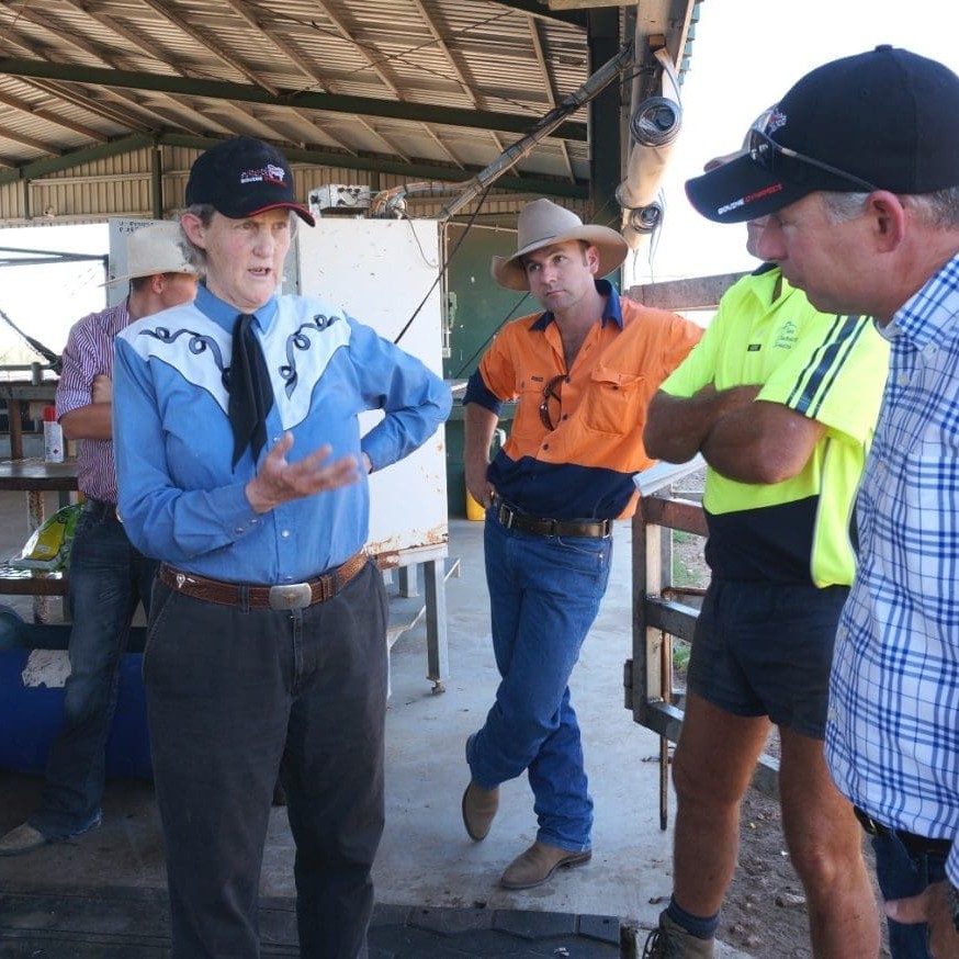 Temple Grandin, left, with Dr Matt George from Bovine Dynamics and livestock staff from Teys' Miamba feedlot near Condamine during Temple's visit to four Queensland feedyards last week