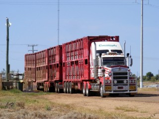 A Cavanagh's Transport road train loading at Hughenden. Image: John Thoroughgood.