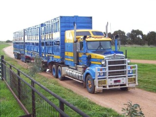 Hampton Livestock Transport operates from two depots at Bullsbrook and Geraldton in WA. 