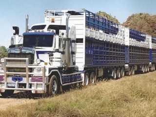 A Leeds Transport Kenworth Prime mover pulling a seven-deck trailer configuration designed by the company and approved for use on WA roads. 