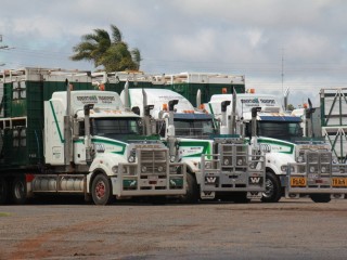 Robertson's Transport trucks at the company's Drayton depot.