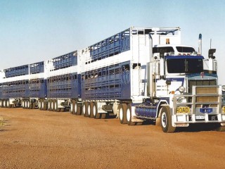 A leeds prime mover towing a purpose-built, four-trailer, seven-deck unit, manufactured by Haulmark Trailers in Brisbane. 