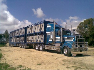 Trans Australian Livestock operates a fleet of 50 satellite tracked prime movers across the country.