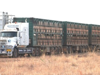 The Brett family's Mack Titan on Waterloo Station. 