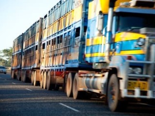 All state and territory leaders with the exception of WA signed an intergovernmental deal to introduce a national set of heavy transport laws from 2013. Despite delaying the process WA premier Colin Barnett says the state will support the deal.