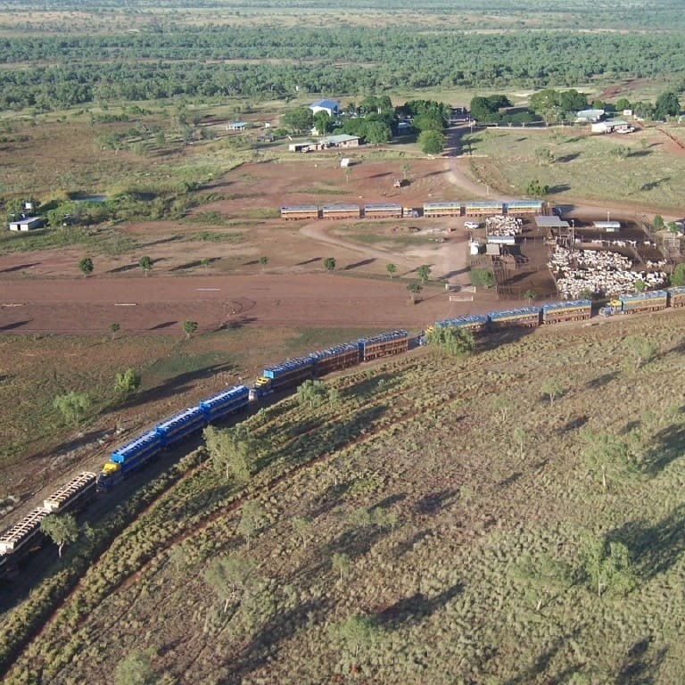 Trucking 54 decks of cattle in one uplift off AA Co's Camfield Station in the Northern Territory. Picture: Kathy Tasker.