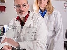 At the National Animal Disease Center, in Ames, Iowa, microbiologists John Bannantine and Judy Stabel review results of a western blot experiment using the MAP specific monoclonal antibody.