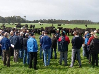 More than 50 beef producers attended a recent Beef Bus Tour organised by the Department of Agriculture and Food in conjunction with the Wilson Inlet Catchment Committee and EverGraze.