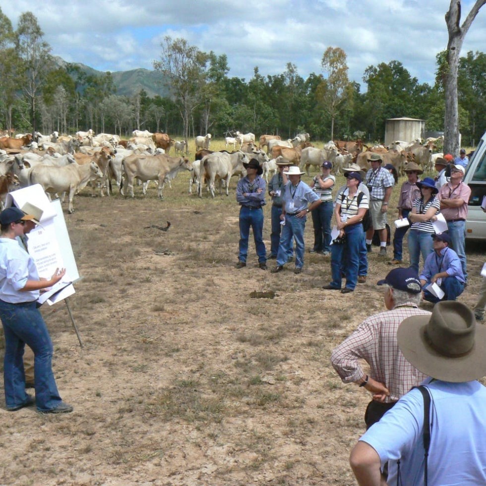 Wambiana has hosted dozens of grazing land management field day visits over the past ten years 