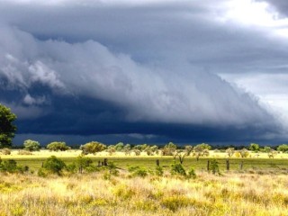 The latest summer rainfall outlook will be investigated in the next BeefConnect webinar.