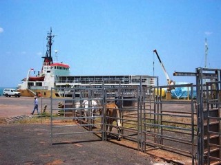 A ship loads at the export yards at Weipa. Picture courtesy of Watson River Station. Click on images at bottom of article to view in large format.