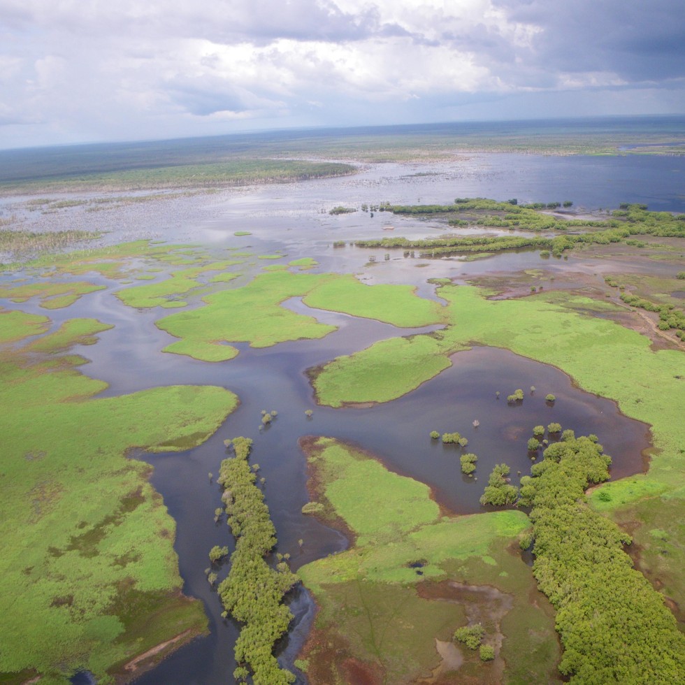 A swampy area on Stapleton station - this was the sort of country the Townsends hoped to find in Australia. Nobody else wanted it, but the Townsends knew from their experience in Florida just how productive that kind of country could be.