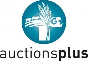 auctions-plus-logo-rgb