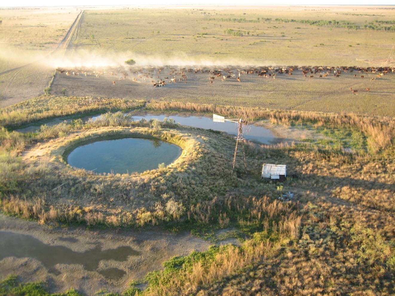 brunette-downs-bore-ground-water-stock