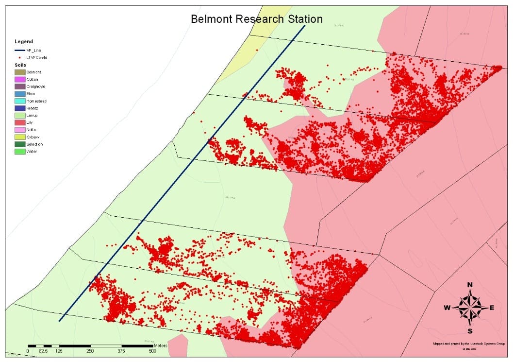 Cattle location in red after the eShepherd technology was activated. Click on image for a larger view