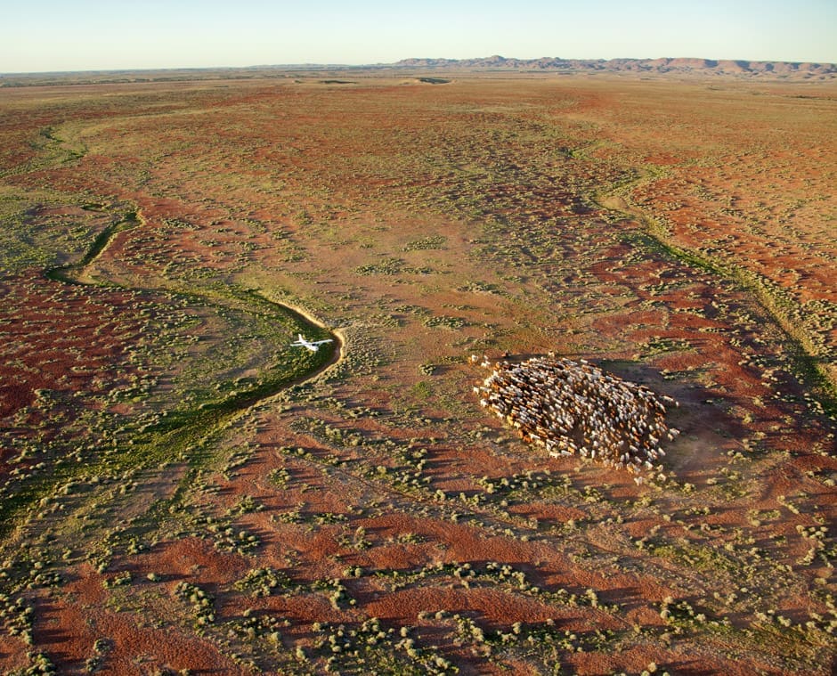 kidman-aerial-mustering