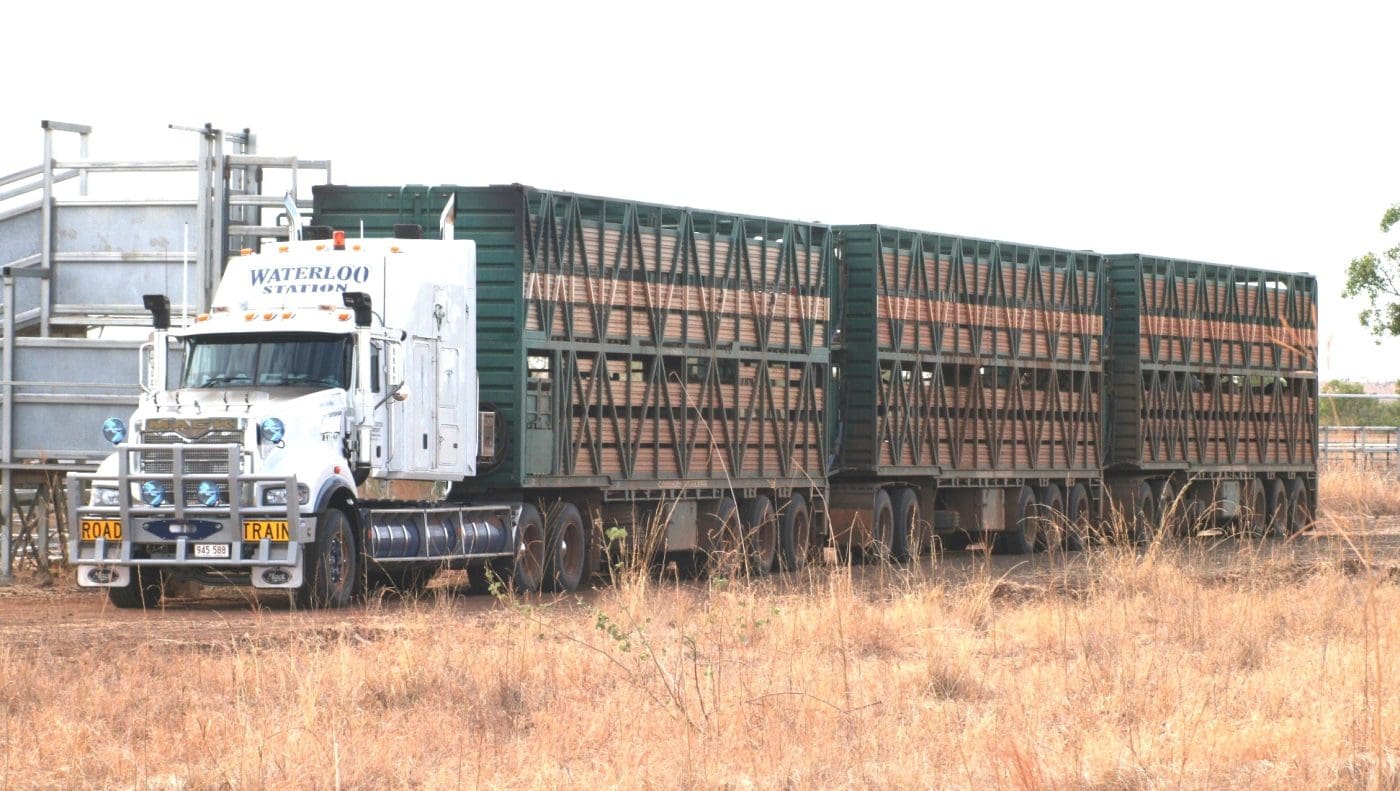 livestock-transport-trucking