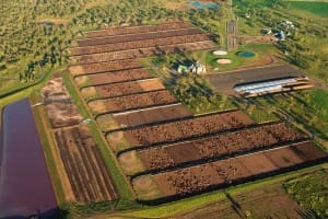 NAPCo's Wainui feedlot again played a crucial role in production during another dry 2015 year 