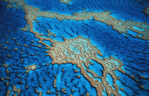 Great Barrier Reef