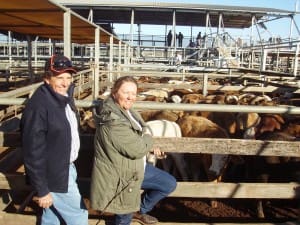 Tony and Sandy Smith, Openbah, Dirranbandi, sold Simmental-cross steers to 201c/kg for 292kg to return $588/head at Tuesday’s Roma Store Sale.
