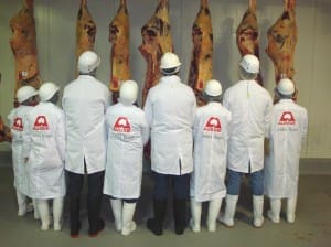 A matter of perspective: Murdoch Uni and Japanese students interspersed during carcase judging last year