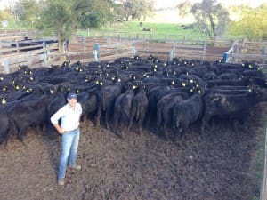 Frontier’s Southern Livestock Manager  George Last on farm with some of the Angus Heifers destined for China.