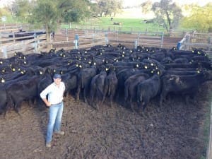 Frontier’s Southern Livestock Manager  George Last on farm with some of the Angus Heifers destined for China.