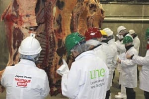 Australian and international competitors judging carcases last year