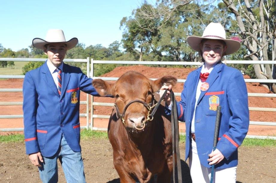 Downlands School Cattle Team members, Jacob Woods and Kate Strong, with charity steer Kelynack K5X Josh
