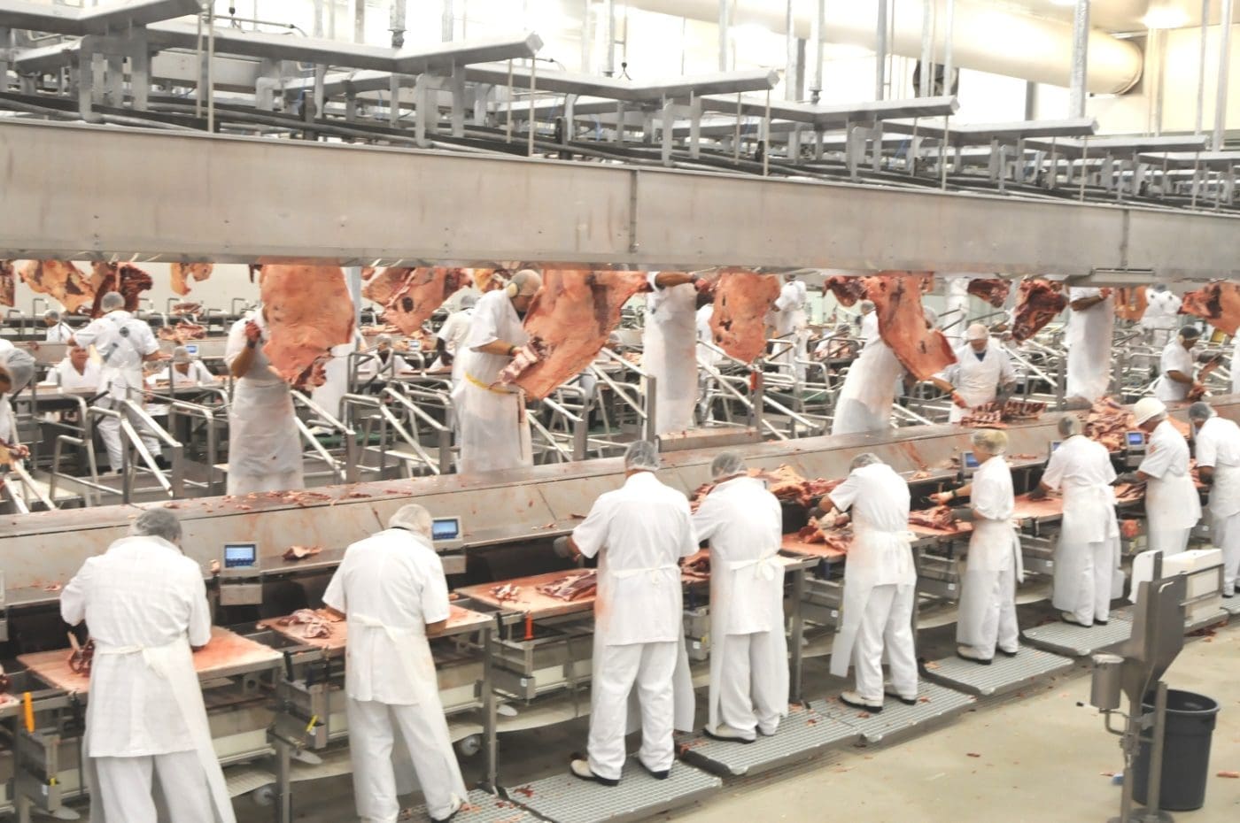 Meat processing workers prioritised for COVID vaccine - Beef Central