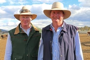 Stephen Peake, Bowen Herefords, Barraba, and Jack Smith, Cascade Herefords, Currabubula, both have sires represented in the third cohort steers under test at Tullimba.