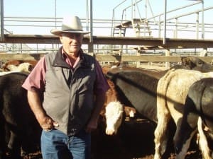 Greg (pictured) and Lorraine Proud, Woodstock, Roma, sold Angus-cross steers to 208c/kg for 258kg to return $538/head at Tuesday’s Roma Store Sale.