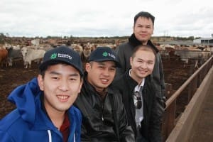 TUM general manager Daryl Hasan, director Wilson Hasan and commissioner William Hasan visit a Darling Downs feedlot on their recent tour of Australia.