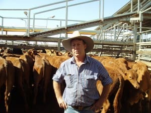 Andy Douglas, Springfield, Mitchell, sold Droughtmaster steers to 190c/kg for 274kg to return $522/head at Tuesday’s Roma Store Sale.