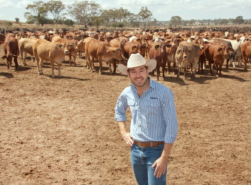Bryce Camm in the pens at Wonga Plains feedlot