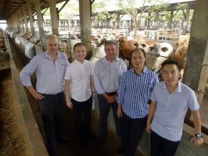 Frontier International Agri MD, Hamish Browning and Ruralco MD John Maher (centre) with TUM's Wilson Hasan, PJ Hasan and Darryl Hasan at the TUM feedlot in Jakarta. 