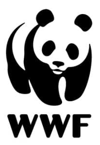 WWF Panda