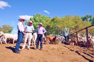Bob (left) and Rob (right) Katter of the Katter Australia Party with Steve O'Connor at the Karumba Live Cattle export facility.