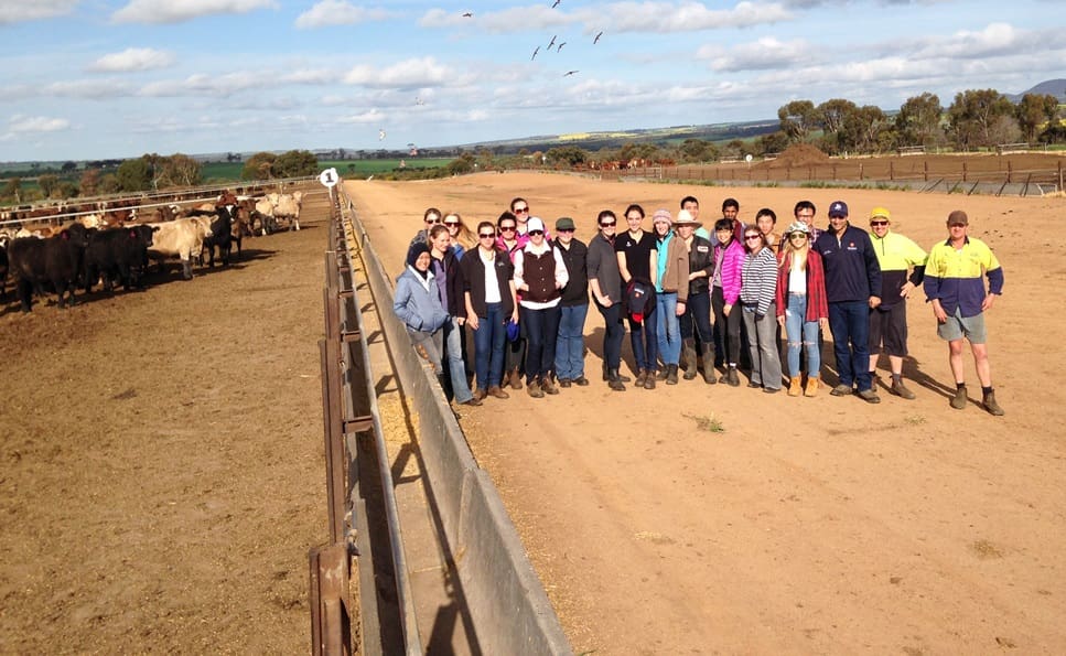Students visiting the Daniel's Well feedlot