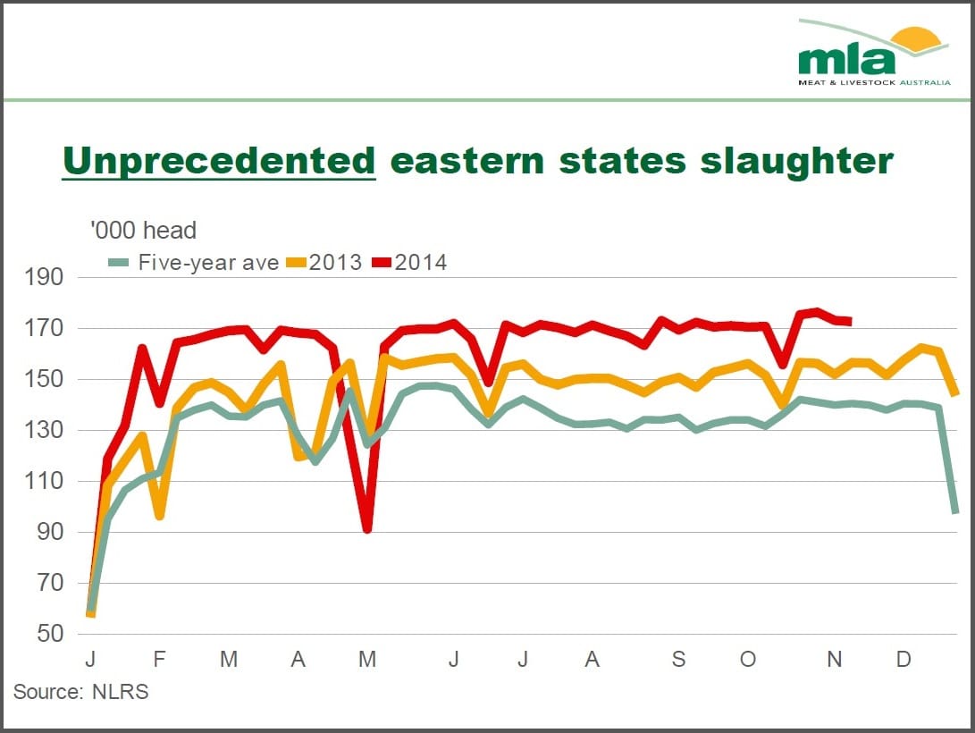 Eastern States slaughter